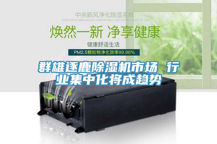 群雄逐鹿91免费网站在线观看市场 行业集中化将成趋势