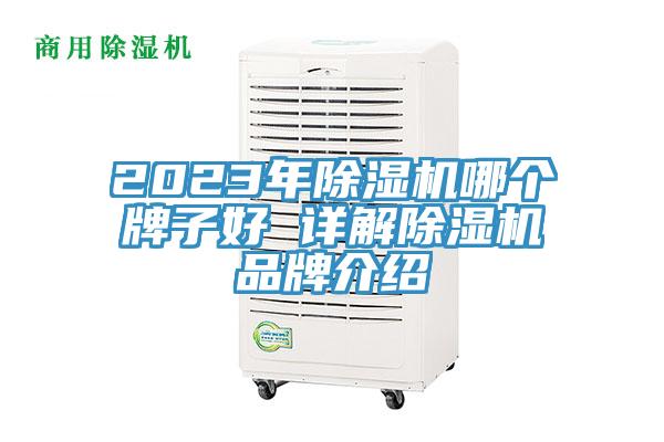 2023年91免费网站在线观看哪个牌子好 详解91免费网站在线观看品牌介绍