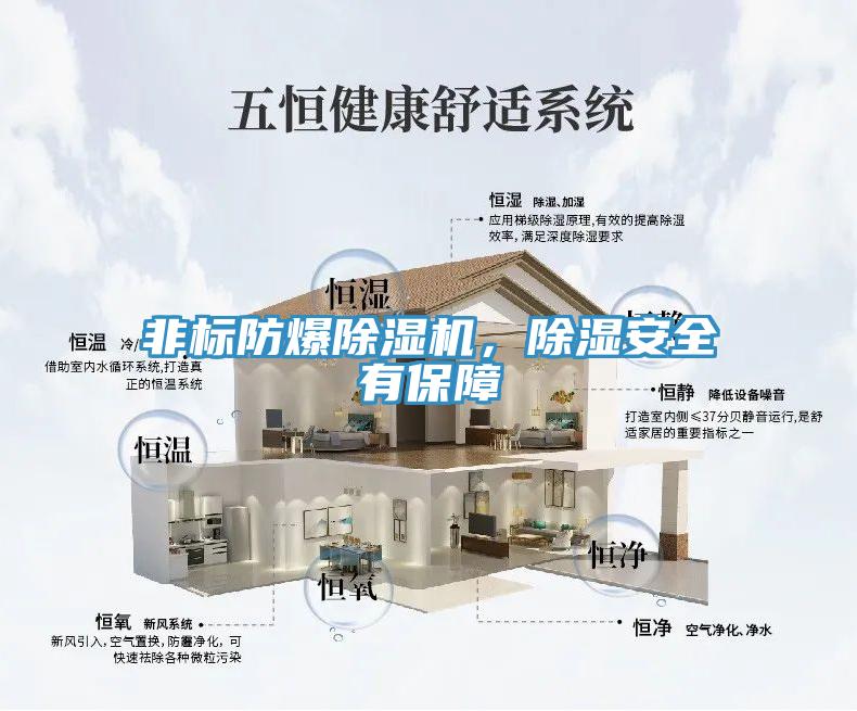 非标防爆91免费网站在线观看，除湿安全有保障