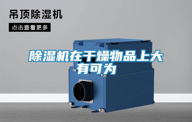 91免费网站在线观看在干燥物品上大有可为