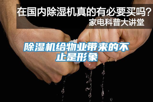 91免费网站在线观看给物业带来的不止是形象