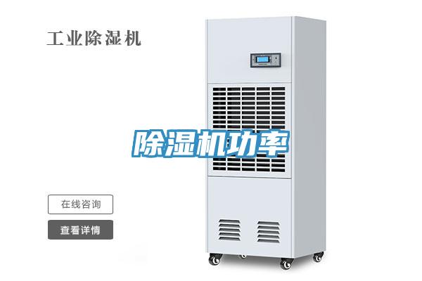 91免费网站在线观看功率