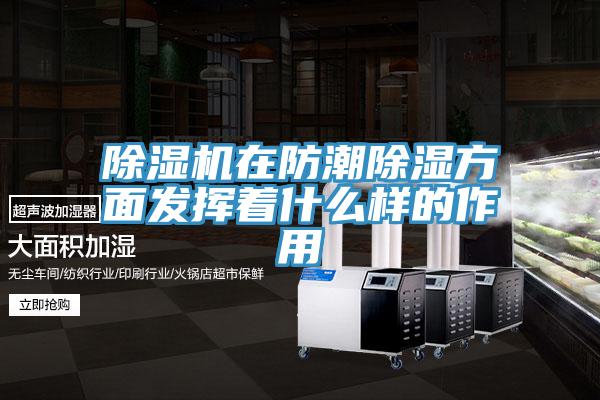 91免费网站在线观看在防潮除湿方面发挥着什么样的作用