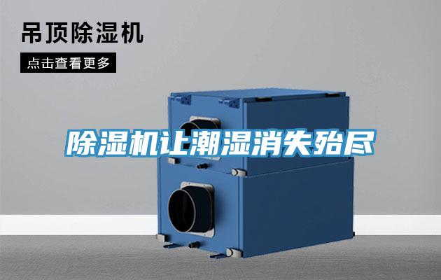 91免费网站在线观看让潮湿消失殆尽