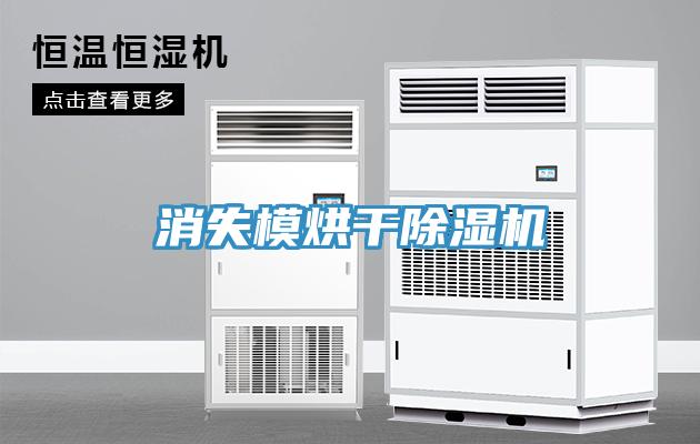 消失模烘干91免费网站在线观看