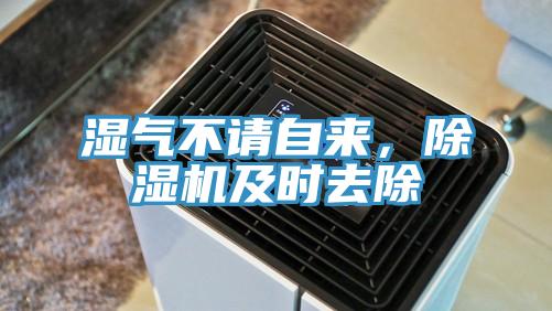湿气不请自来，91免费网站在线观看及时去除