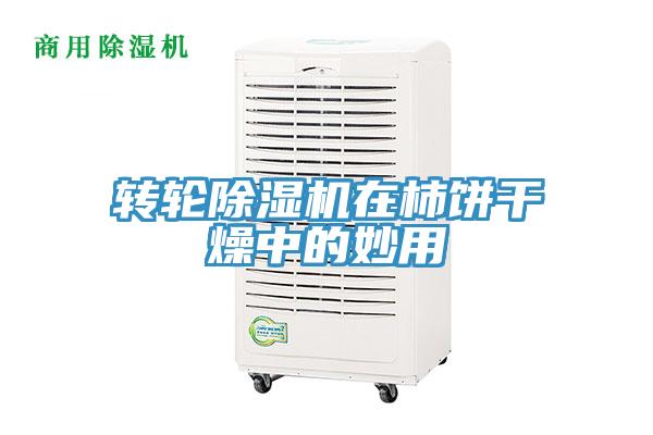 转轮91免费网站在线观看在柿饼干燥中的妙用