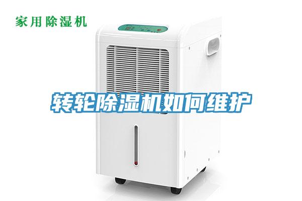 转轮91免费网站在线观看如何维护