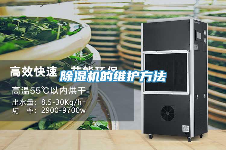 91免费网站在线观看的维护方法