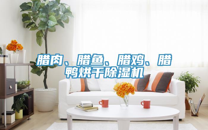 腊肉、腊鱼、腊鸡、腊鸭烘干91免费网站在线观看