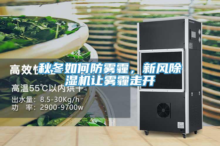 秋冬如何防雾霾，新风91免费网站在线观看让雾霾走开