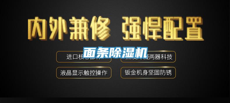 面条91免费网站在线观看