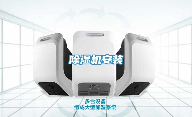 91免费网站在线观看安装