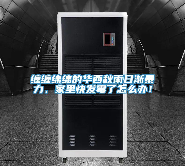 缠缠绵绵的华西秋雨日渐暴力，家里快发霉了怎么办！