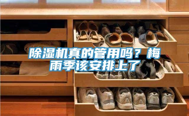 91免费网站在线观看真的管用吗？梅雨季该安排上了