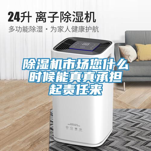 91免费网站在线观看市场您什么时候能真真承担起责任来