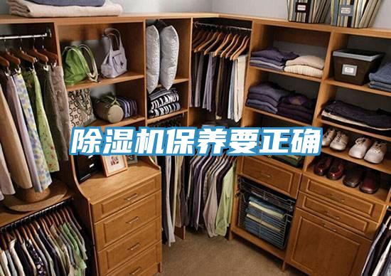 91免费网站在线观看保养要正确