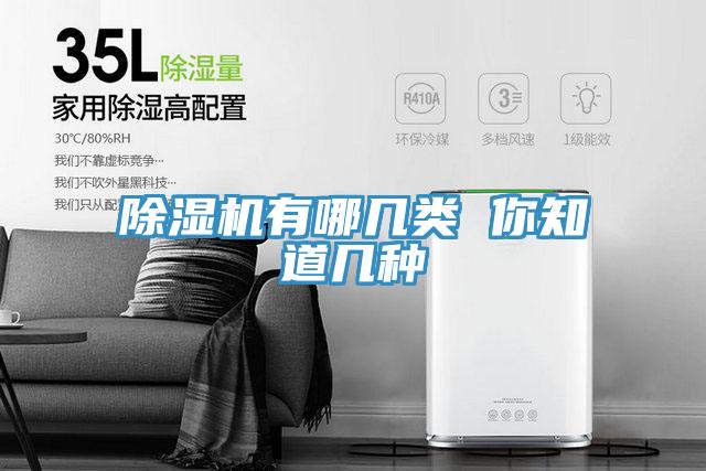 91免费网站在线观看有哪几类 你知道几种