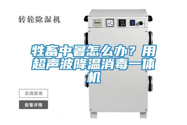 牲畜中暑怎么办？用超声波降温消毒一体机