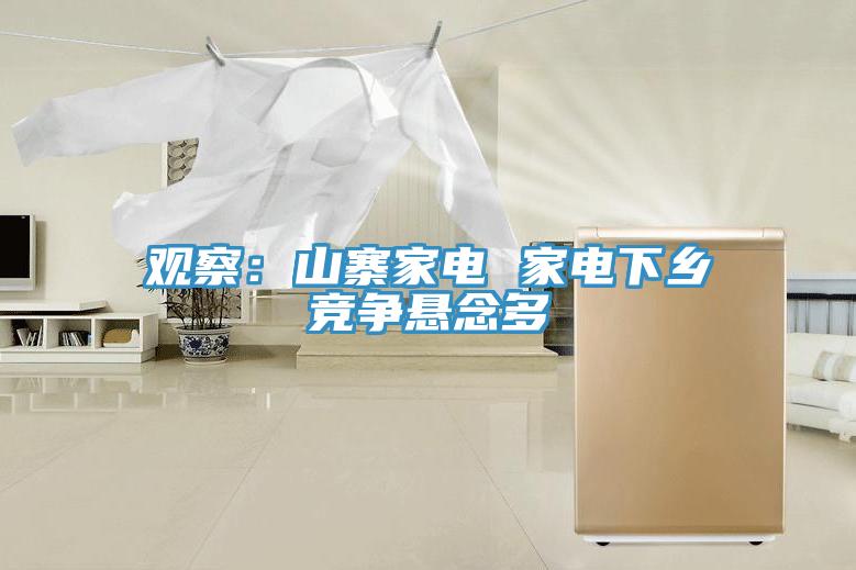 观察：山寨家电 家电下乡竞争悬念多