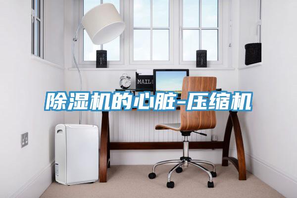 91免费网站在线观看的心脏-压缩机