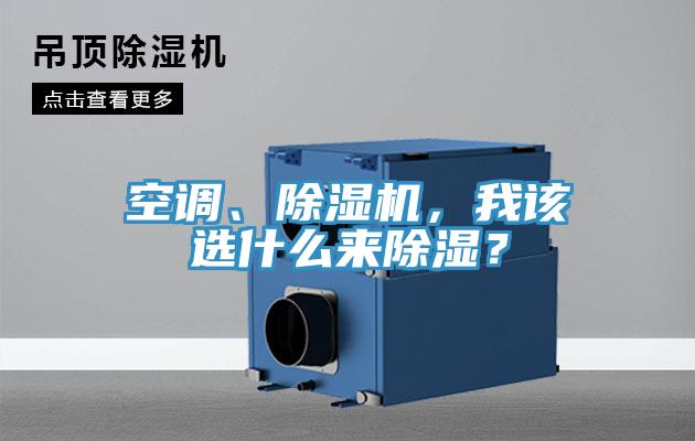 空调、91免费网站在线观看，我该选什么来除湿？