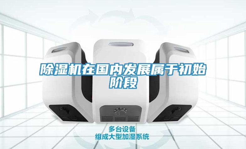 91免费网站在线观看在国内发展属于初始阶段