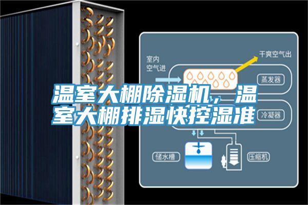 温室大棚91免费网站在线观看，温室大棚排湿快控湿准
