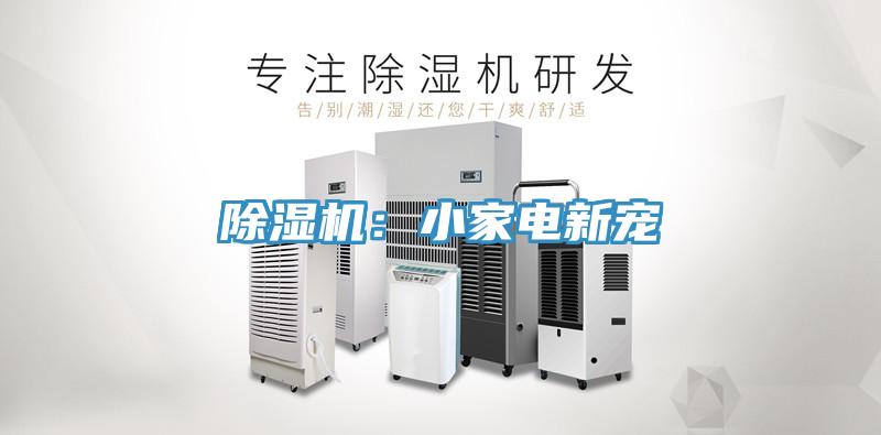 91免费网站在线观看：小家电新宠