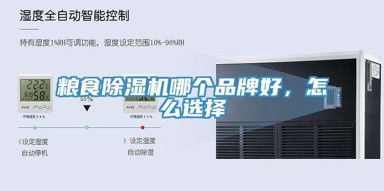 粮食91免费网站在线观看哪个品牌好，怎么选择