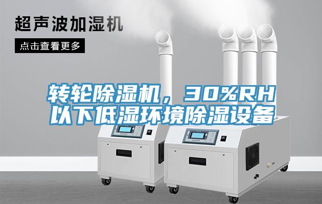 转轮91免费网站在线观看，30%RH以下低湿环境除湿设备