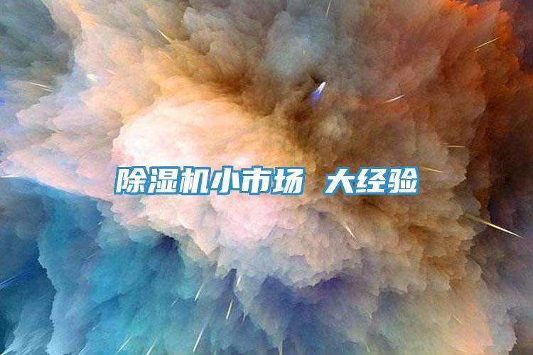 91免费网站在线观看小市场 大经验