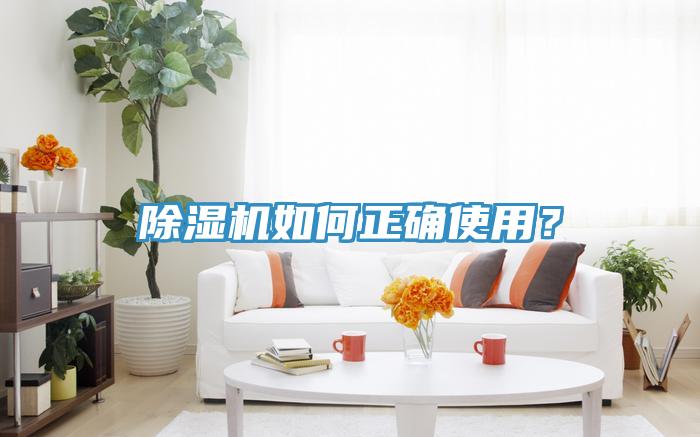 91免费网站在线观看如何正确使用？