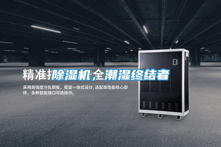 91免费网站在线观看，潮湿终结者