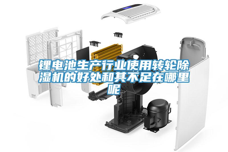 锂电池生产行业使用转轮91免费网站在线观看的好处和其不足在哪里呢