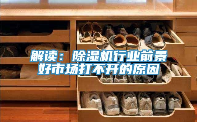 解读：91免费网站在线观看行业前景好市场打不开的原因