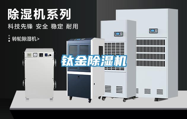 钛金91免费网站在线观看