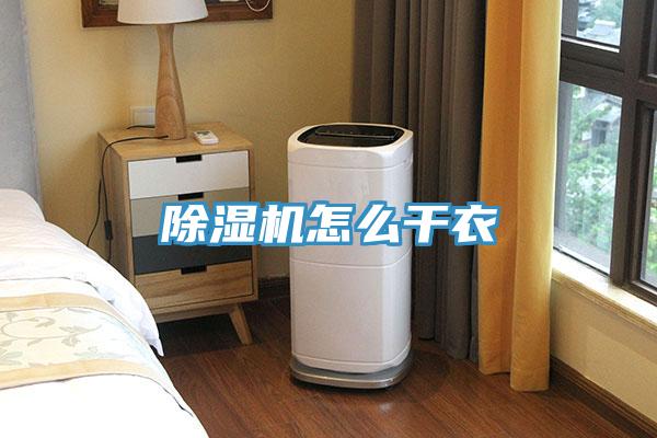 91免费网站在线观看怎么干衣
