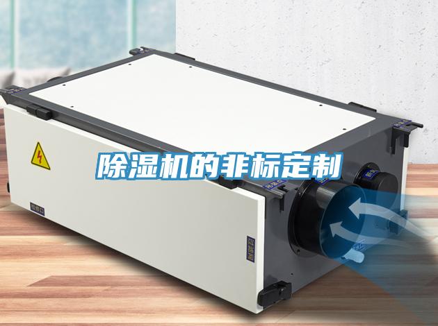 91免费网站在线观看的非标定制