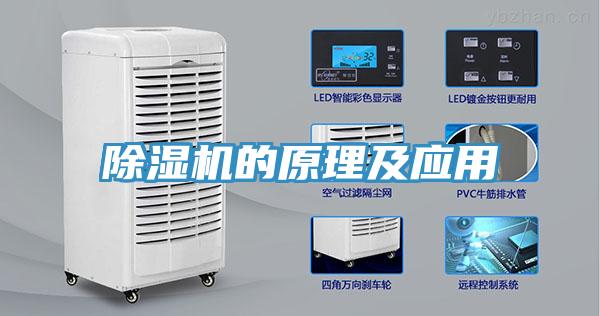 91免费网站在线观看的原理及应用