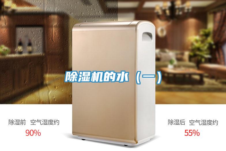 91免费网站在线观看的水（一）
