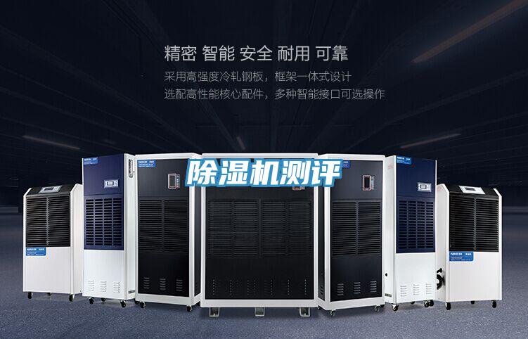 91免费网站在线观看测评