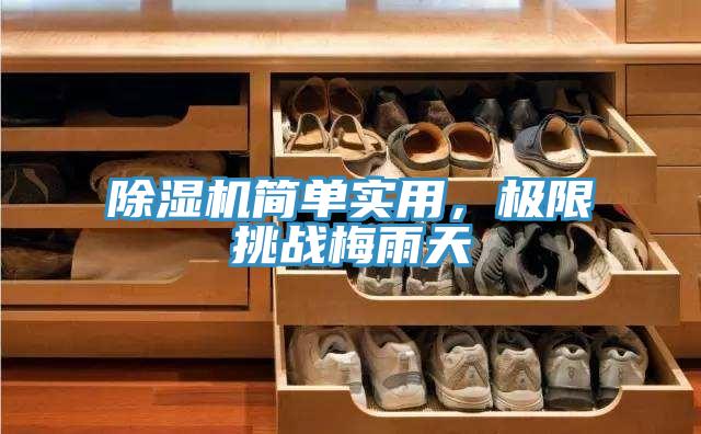 91免费网站在线观看简单实用，极限挑战梅雨天