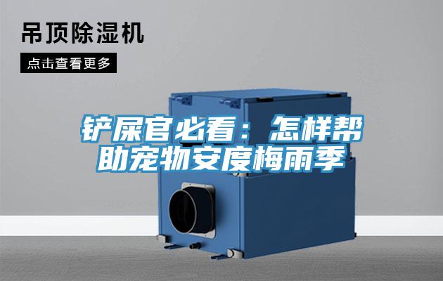 铲屎官必看：怎样帮助宠物安度梅雨季