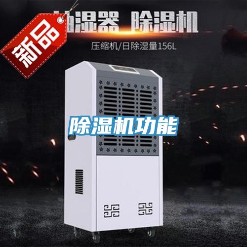 91免费网站在线观看功能