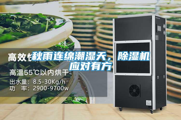 秋雨连绵潮湿天，91免费网站在线观看应对有方