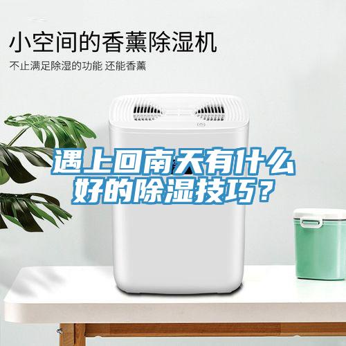遇上回南天有什么好的除湿技巧？