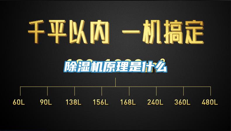 91免费网站在线观看原理是什么