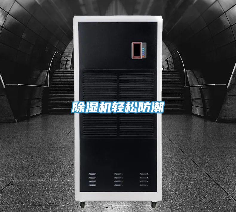 91免费网站在线观看轻松防潮