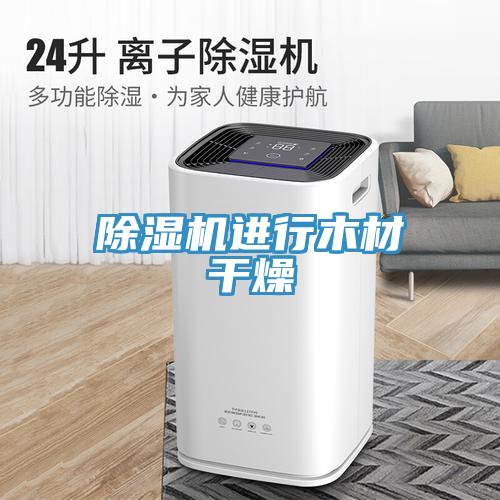 91免费网站在线观看进行木材干燥